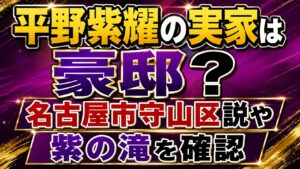 平野紫耀の実家は豪邸？名古屋市守山区説や紫の滝を確認の記事のアイキャッチ画像