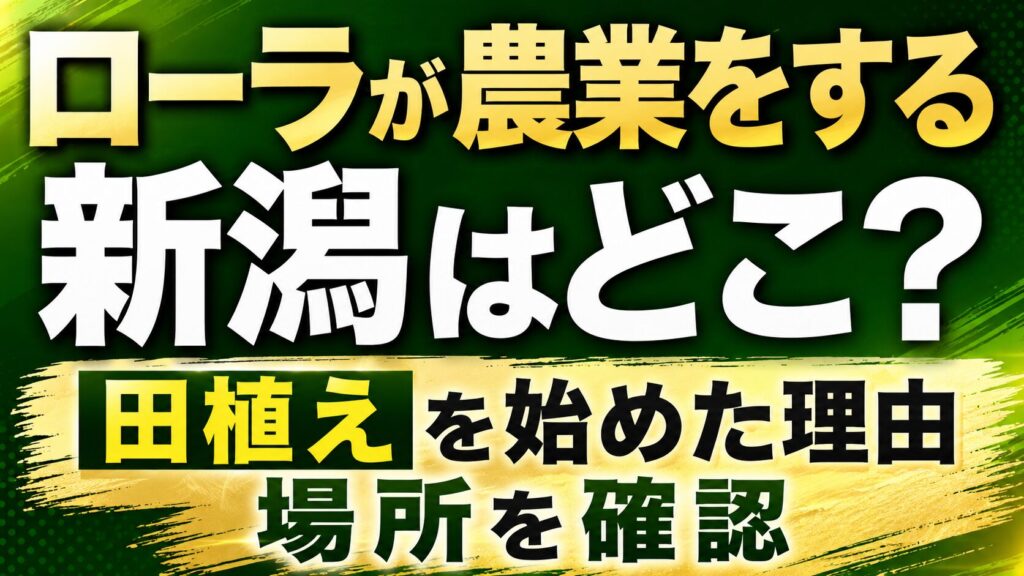 ローラが農業をする新潟はどこ？田植えを始めた理由や場所を確認の記事のアイキャッチ画像