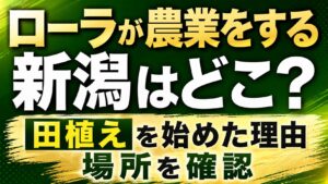 ローラが農業をする新潟はどこ？田植えを始めた理由や場所を確認