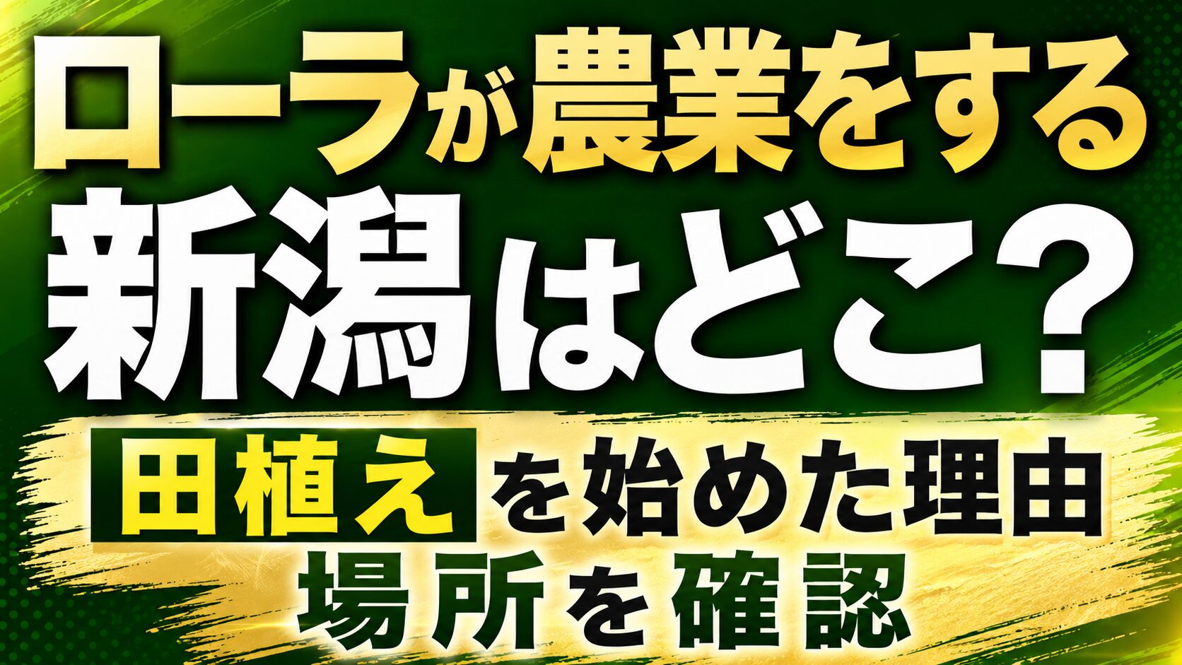 ローラが農業をする新潟はどこ?田植えを始めた理由や場所を確認の記事のアイキャッチ画像
